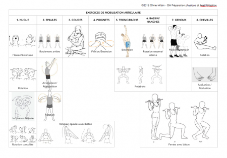 Exercices mobilisation articulaire