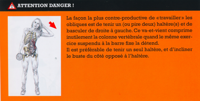 Danger de la flexion latérale de buste par delavier